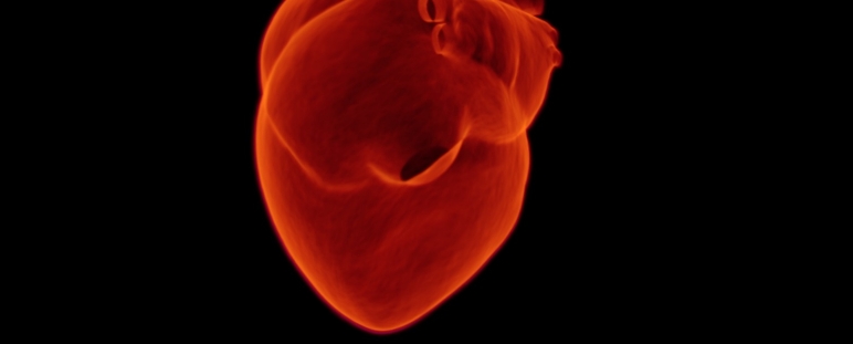 Aplicador para catéteres