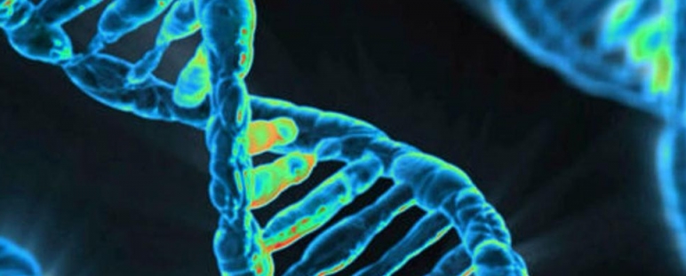 Banco de genes online