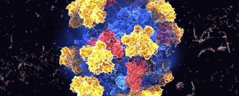 Diseño de enzimas para el sector farmacéutico e industrial.