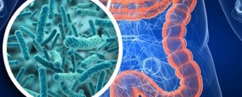 eBiome, microbiótica fecal