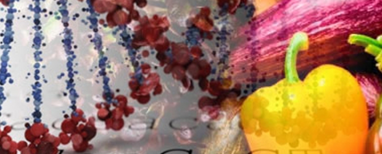 Plataforma de nutrigenética de alta precisión