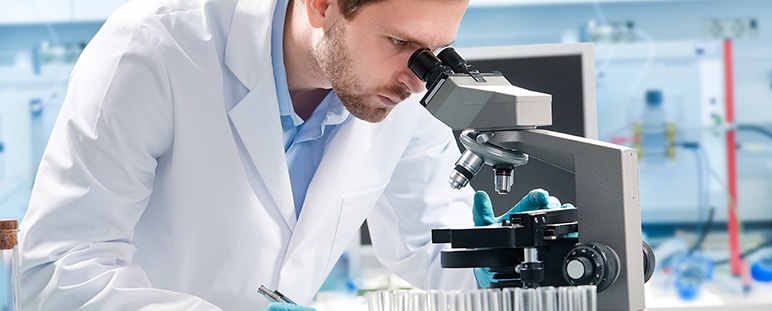 Plataforma de cribado para compuestos anti-tumorales. 