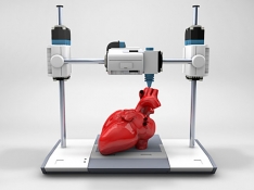 VIDA (Ventrículo Izquierdo Definitivo Artificial) 