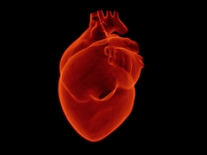 Aplicador para catéteres