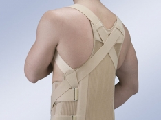 Thoracic remodelling halo