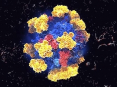 Diseño de enzimas para el sector farmacéutico e industrial.