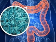 eBiome, microbiótica fecal