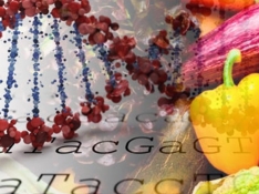 Plataforma de nutrigenética de alta precisión