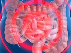 Test diagnóstico fecal para la detección de la permeabilidad intestinal.