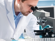 Plataforma de cribado para compuestos anti-tumorales. 